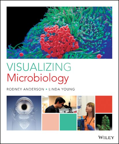 Visualizing Microbiology: A Healthy Perspective