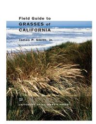 Field Guide to Grasses of California