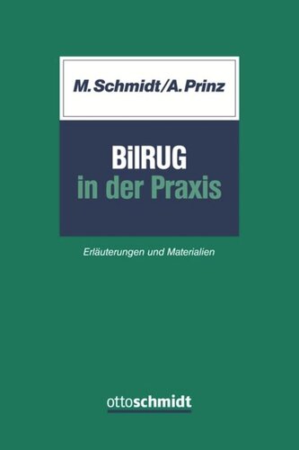 BilRUG in der Praxis: Erläuterungen und Materialien