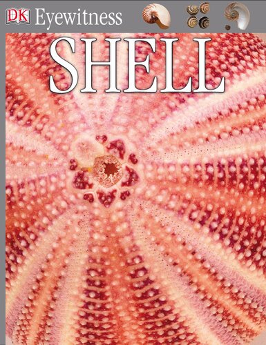 Eyewitness: Shell