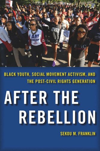 After the Rebellion: Black Youth, Social Movement Activism, and the Post-Civil Rights Generation