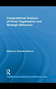 Computational Analysis of Firms' Organization and Strategic Behaviour