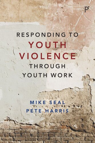 Responding to Youth Violence through Youth Work