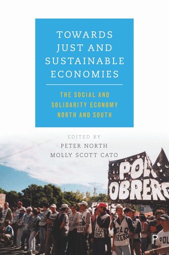 Towards Just and Sustainable Economies: The Social and Solidarity Economy North and South