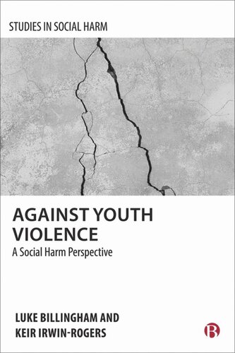 Against Youth Violence: A Social Harm Perspective