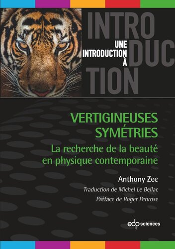 Vertigineuses symétries: La recherche de la beauté en physique contemporaine