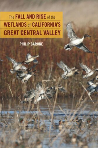 The Fall and Rise of the Wetlands of California's Great Central Valley