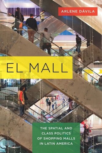 El Mall: The Spatial and Class Politics of Shopping Malls in Latin America