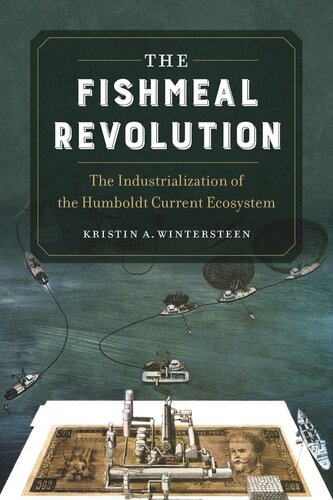 The Fishmeal Revolution: The Industrialization of the Humboldt Current Ecosystem