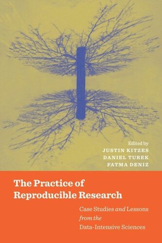 The Practice of Reproducible Research: Case Studies and Lessons from the Data-Intensive Sciences