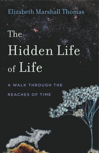 The Hidden Life of Life: A Walk through the Reaches of Time