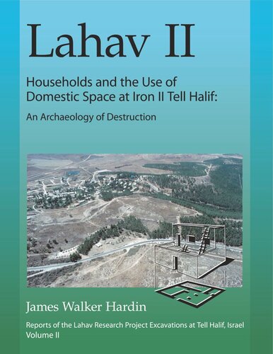 Lahav II: Households and the Use of Domestic Space at Iron II Tell Halif: An Archaeology of Destruction