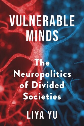 Vulnerable Minds: The Neuropolitics of Divided Societies