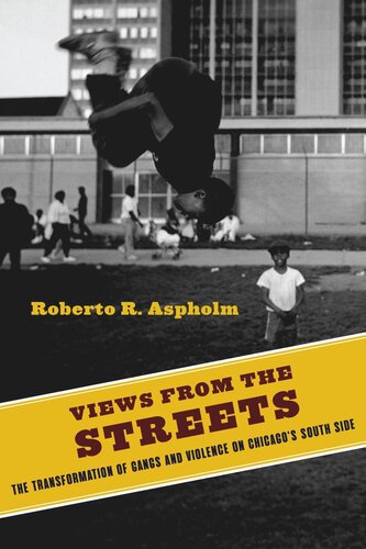 Views from the Streets: The Transformation of Gangs and Violence on Chicago's South Side