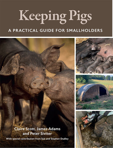 Keeping Pigs: A Practical Guide for Smallholders