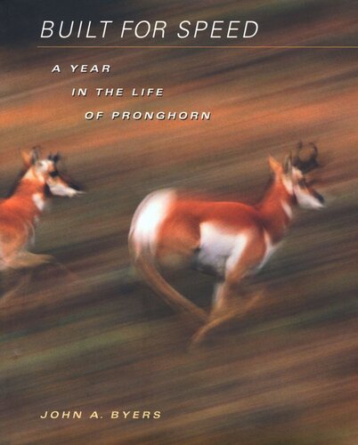 Built for Speed: A Year in the Life of Pronghorn