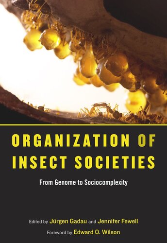 Organization of Insect Societies: From Genome to Sociocomplexity