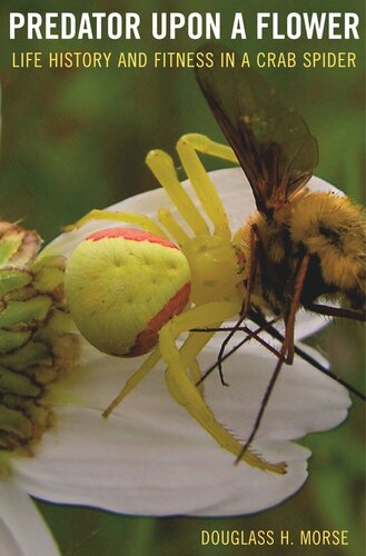 Predator upon a Flower: Life History and Fitness in a Crab Spider