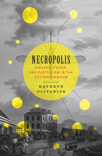 Necropolis: Disease, Power, and Capitalism in the Cotton Kingdom