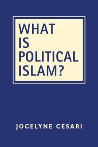 What is Political Islam?