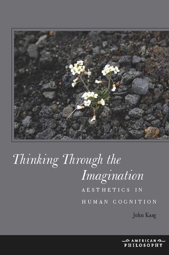 Thinking Through the Imagination: Aesthetics in Human Cognition