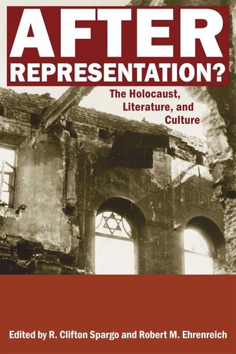 After Representation?: The Holocaust, Literature, and Culture