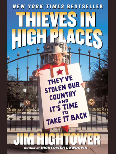 Thieves in High Places: They've Stolen Our Country and It's Time to Take It Back