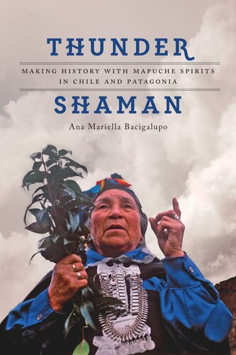 Thunder Shaman: Making History with Mapuche Spirits in Chile and Patagonia