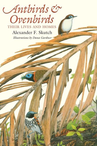 Antbirds and Ovenbirds: Their Lives and Homes