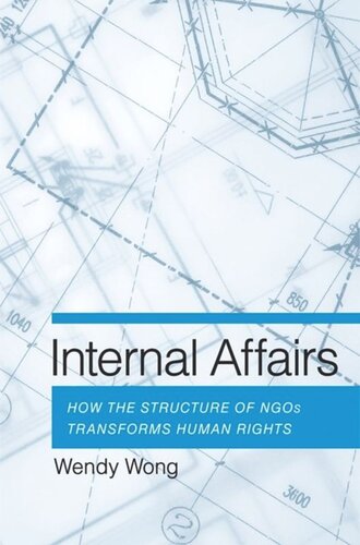 Internal Affairs: How the Structure of NGOs Transforms Human Rights