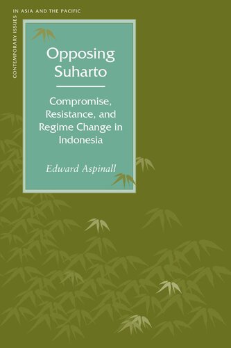 Opposing Suharto: Compromise, Resistance, and Regime Change in Indonesia