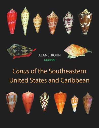 Conus of the Southeastern United States and Caribbean