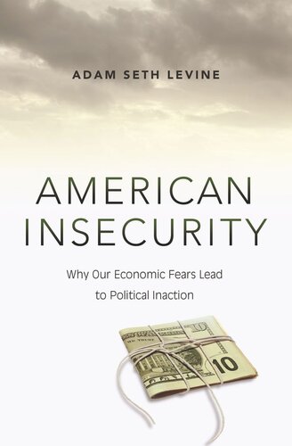 American Insecurity: Why Our Economic Fears Lead to Political Inaction