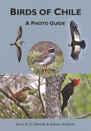 Birds of Chile: A Photo Guide