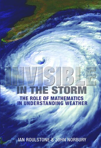 Invisible in the Storm: The Role of Mathematics in Understanding Weather