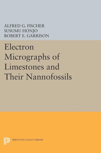 Electron Micrographs of Limestones and Their Nannofossils