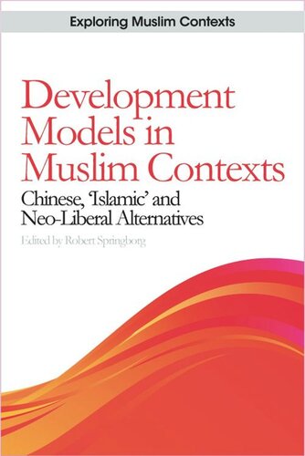 Development Models in Muslim Contexts: Chinese, 'Islamic' and Neo-liberal Alternatives