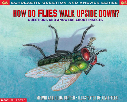 Scholastic Q & A: How Do Flies Walk Upside Down? (Scholastic Question & Answer)