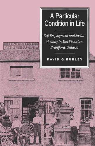 Particular Condition in Life: Self-Employment and Social Mobility in Mid-Victorian Brantford, Ontario