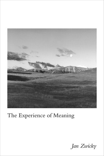 The Experience of Meaning