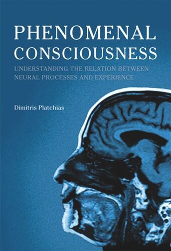 Phenomenal Consciousness: Understanding the Relation between Experience and Neural Processes in the Brain