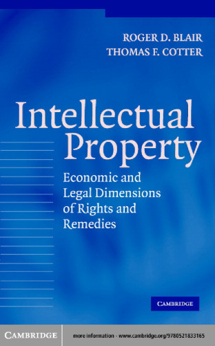 Intellectual Property: Economic and Legal Dimensions of Rights and Remedies