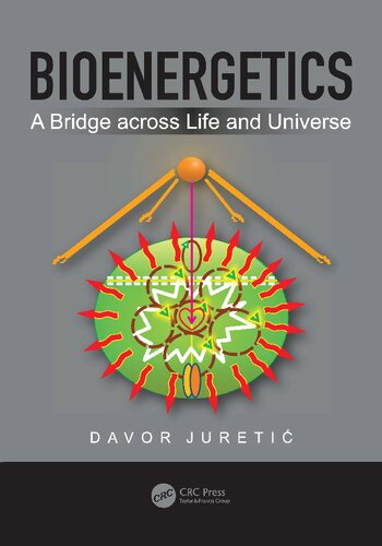 Bioenergetics: A Bridge Across Life and Universe