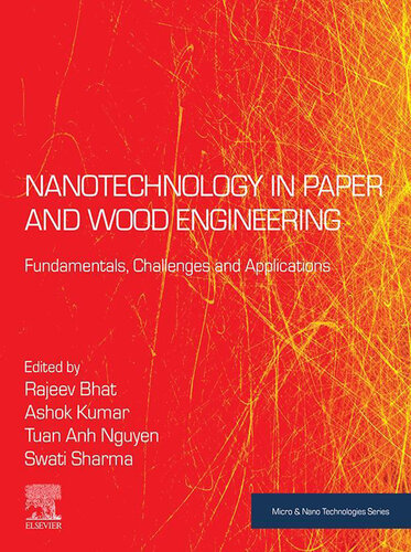 Nanotechnology in Paper and Wood Engineering: Fundamentals, Challenges and Applications (Micro and Nano Technologies)