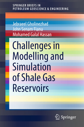 Challenges in Modelling and Simulation of Shale Gas Reservoirs (SpringerBriefs in Petroleum Geoscience & Engineering)