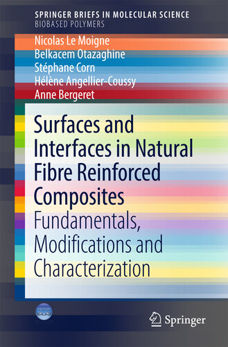 Surfaces and Interfaces in Natural Fibre Reinforced Composites: Fundamentals, Modifications and Characterization (SpringerBriefs in Molecular Science)