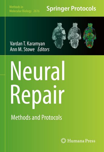 Neural Repair: Methods and Protocols (Methods in Molecular Biology, 2616)