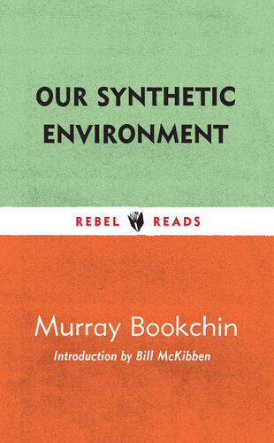 Our Synthetic Environment (Rebel Reads Book 7)