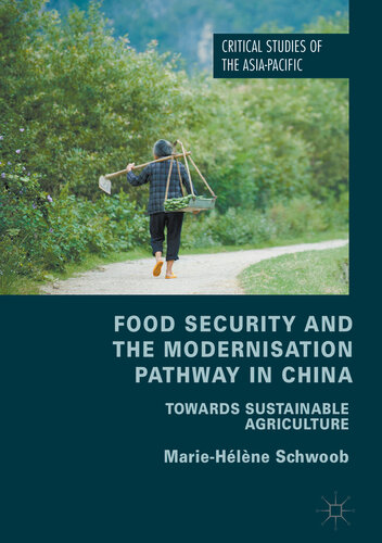 Food Security and the Modernisation Pathway in China: Towards Sustainable Agriculture (Critical Studies of the Asia-Pacific)