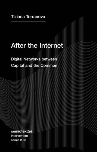 After the Internet : Digital Networks between Capital and the Common